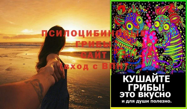 прущие грибы Алексин